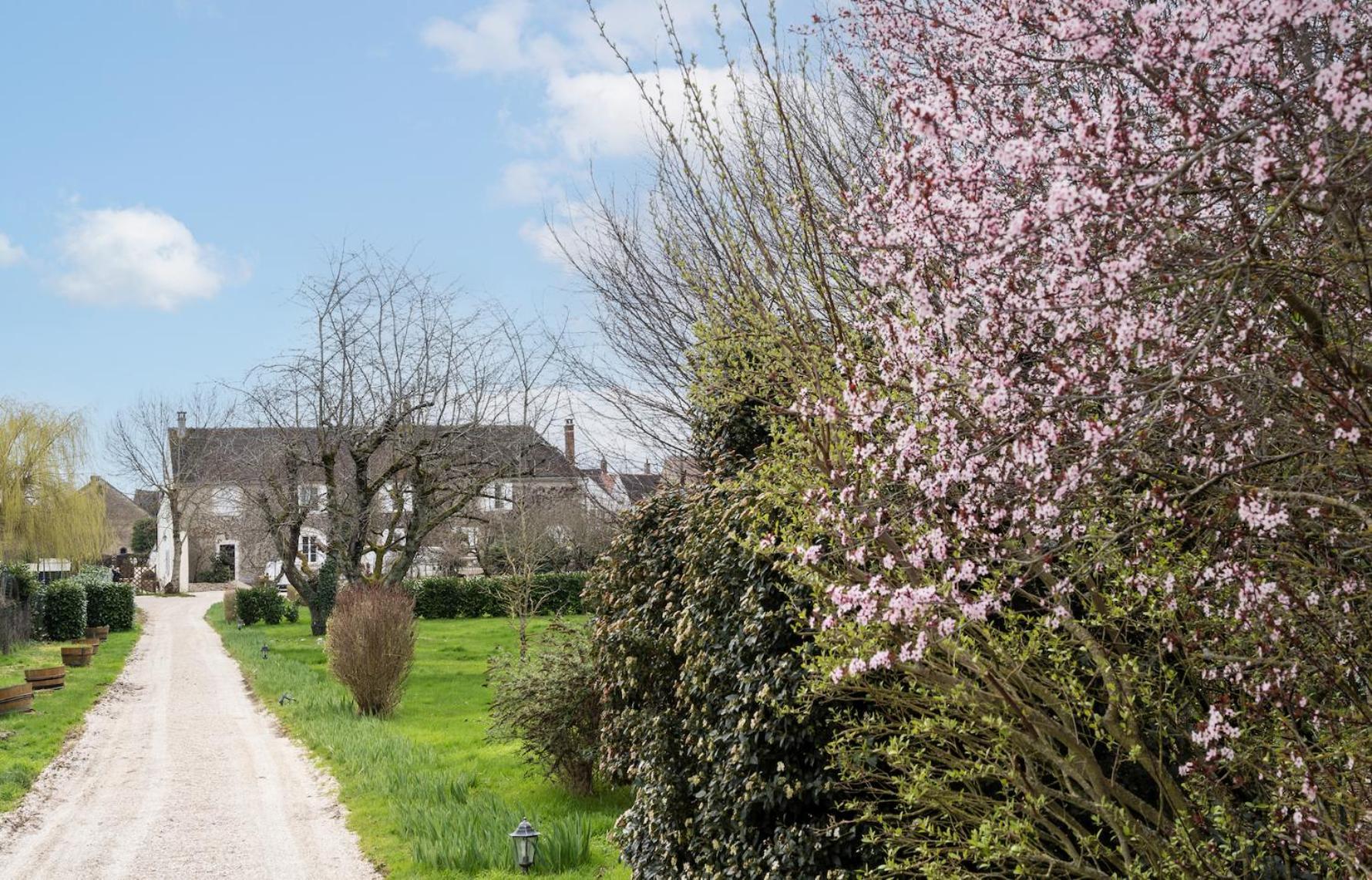 לינה וארוחת בוקר Montigny-la-Resle Chambre D'Hotes Le Val Du Chapelain מראה חיצוני תמונה